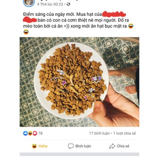 Hạt Aatas Cat Mix Cá Cơm Khô