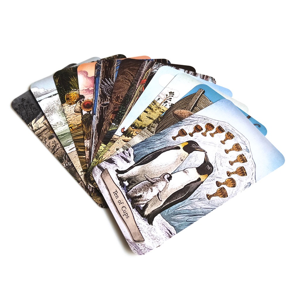 Bộ 78 thẻ bài tarot hình động vật (Mới)
