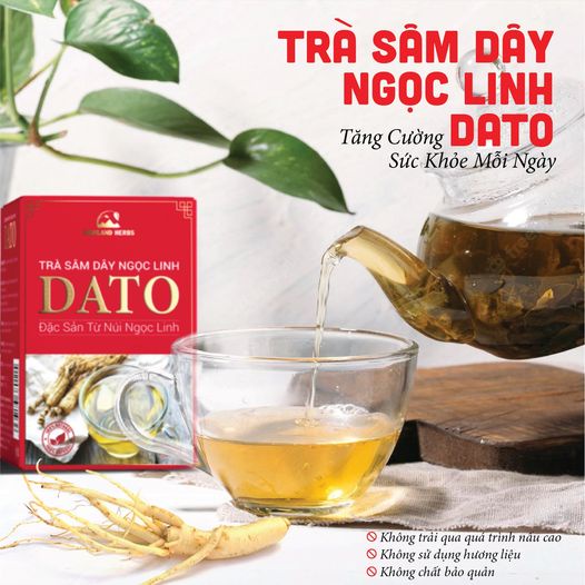 Trà sâm dây Ngọc Linh DATO 25 gói x2g, Trà, Thảo Mộc túi lọc Tăng cường sức khỏe