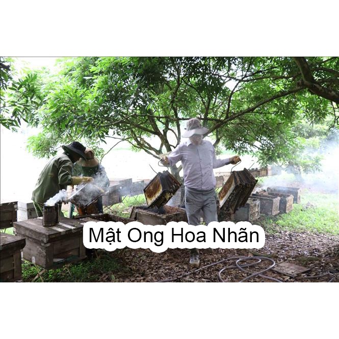 Mật Ong Hoa Nhãn Hưng Yên Nguyên Chất 500ml - 1000ml