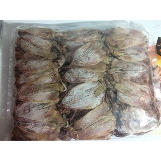 Combo 15 con khô mực Mini y hình