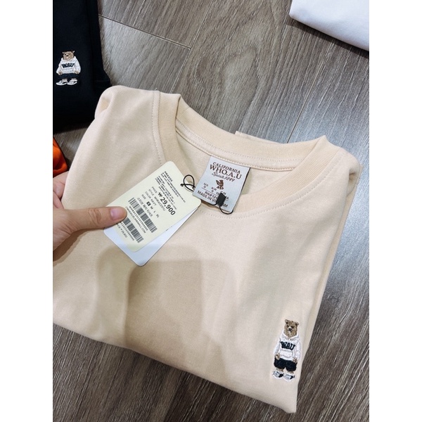 Áo thun gấu 4 màu