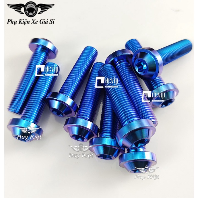 Ốc Titan GR5 10Li23 Gắn Pat Heo Dầu Trước Dòng Xe Yamaha MS5043