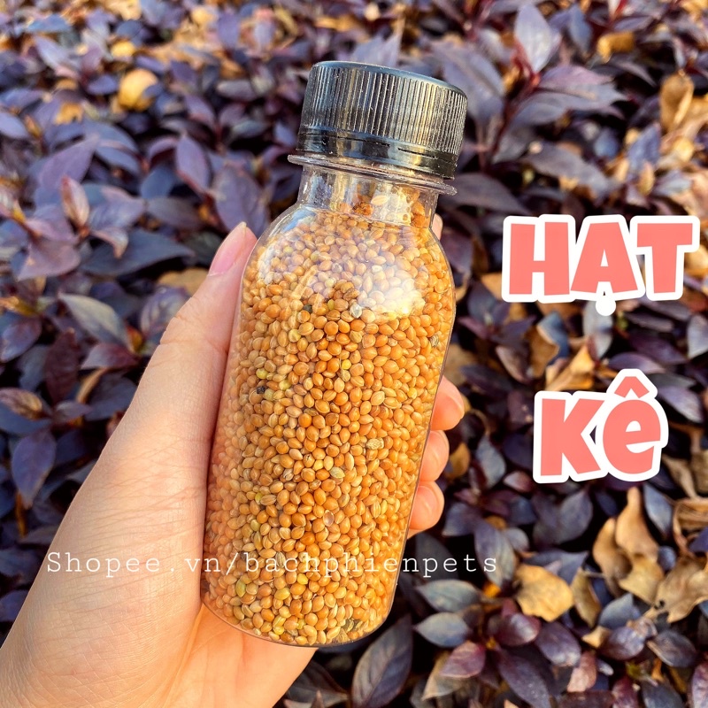 Hạt Kê thức ăn cho Vẹt, Hamster lọ 100ml.