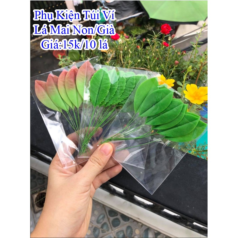 Lá hoa đất sét / lá mai / lá mai đất sét