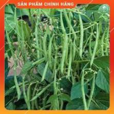 HẠT GIỐNG ĐẬU COVE LEO CAO SẢN - 50gam