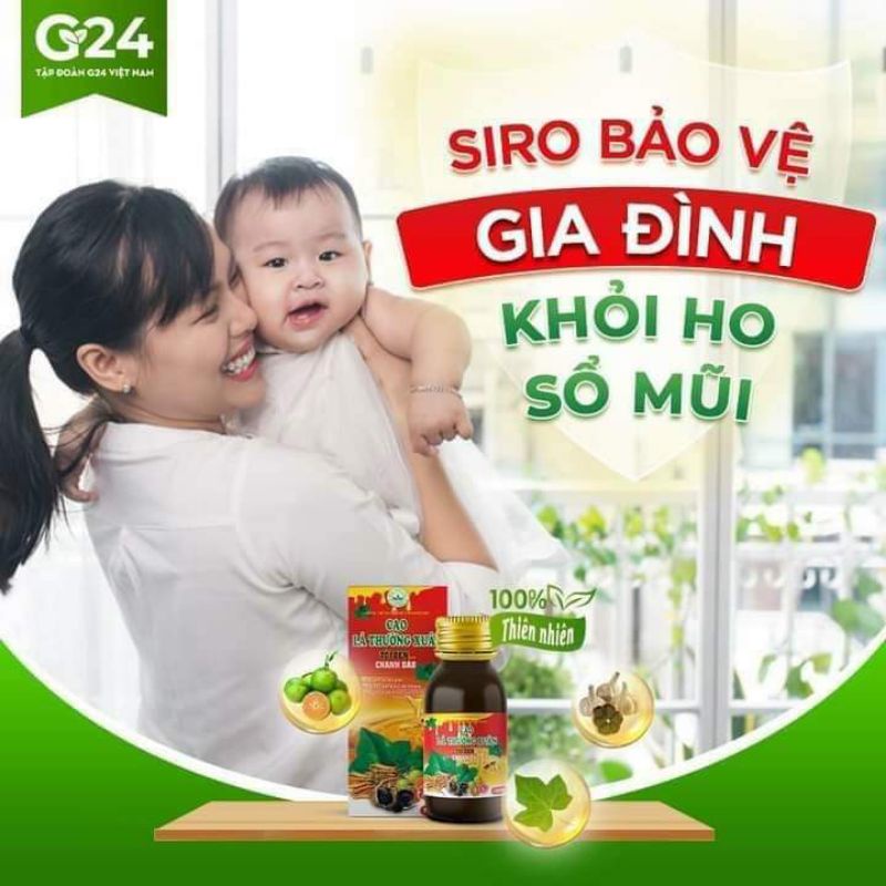 Cao lá thường xuân tỏi đen chanh đào