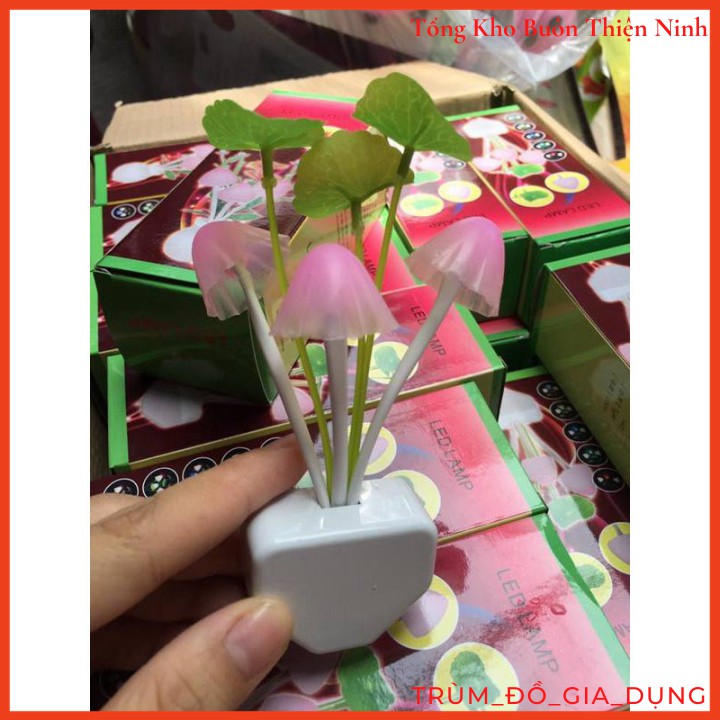 ĐÈN NGỦ CẢM ỨNG NGÀY TẮT TỐI BÂT HÌNH NẤM