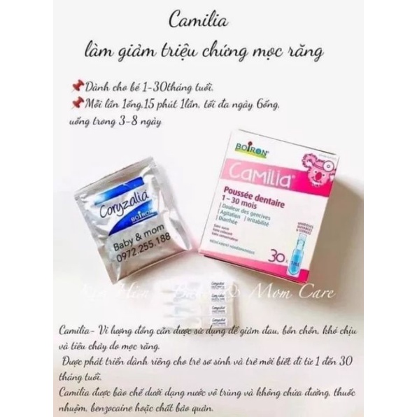 Muối uống cho bé mọc răng Camilia Canada