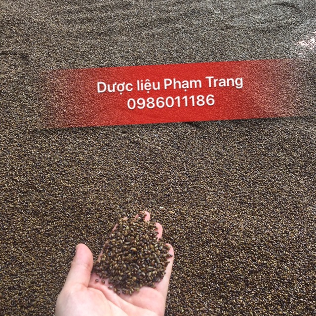 Hạt muồng hàng xuất khẩu 3 kg