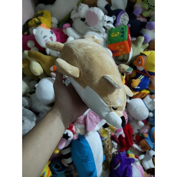 gấu bông siêu cưng