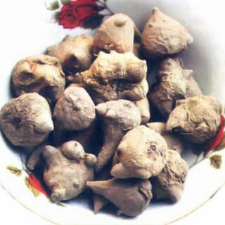 Củ ấu tẩu đặc sản hà giang 1kg