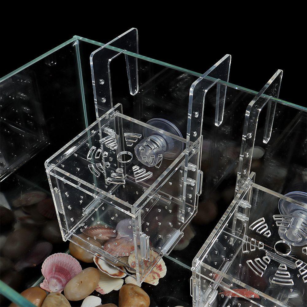 Hộp Cách Ly Ấp Trứng Cho Bể Cá