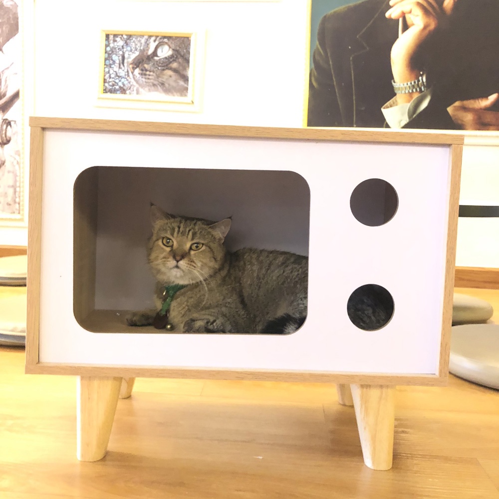 Nhà cho mèo, chuồng mèo gỗ giá rẻ mẫu tivi, thiết kế hiện đại, di chuyển linh hoạt  – SGP210