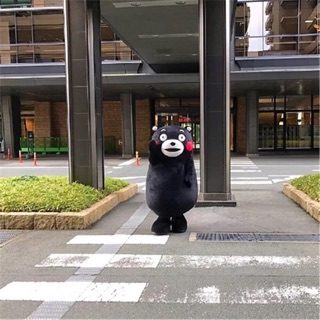 MASCOT GẤU KUMANON (ảnh thật)