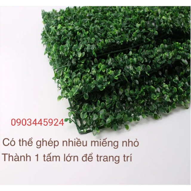 Thảm Cỏ Xà Lách Xoong Nhân Tạo Giá Sỉ