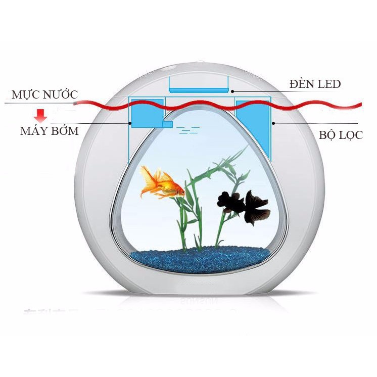 Tiểu cảnh bể cá mini để bàn đẹp mãi