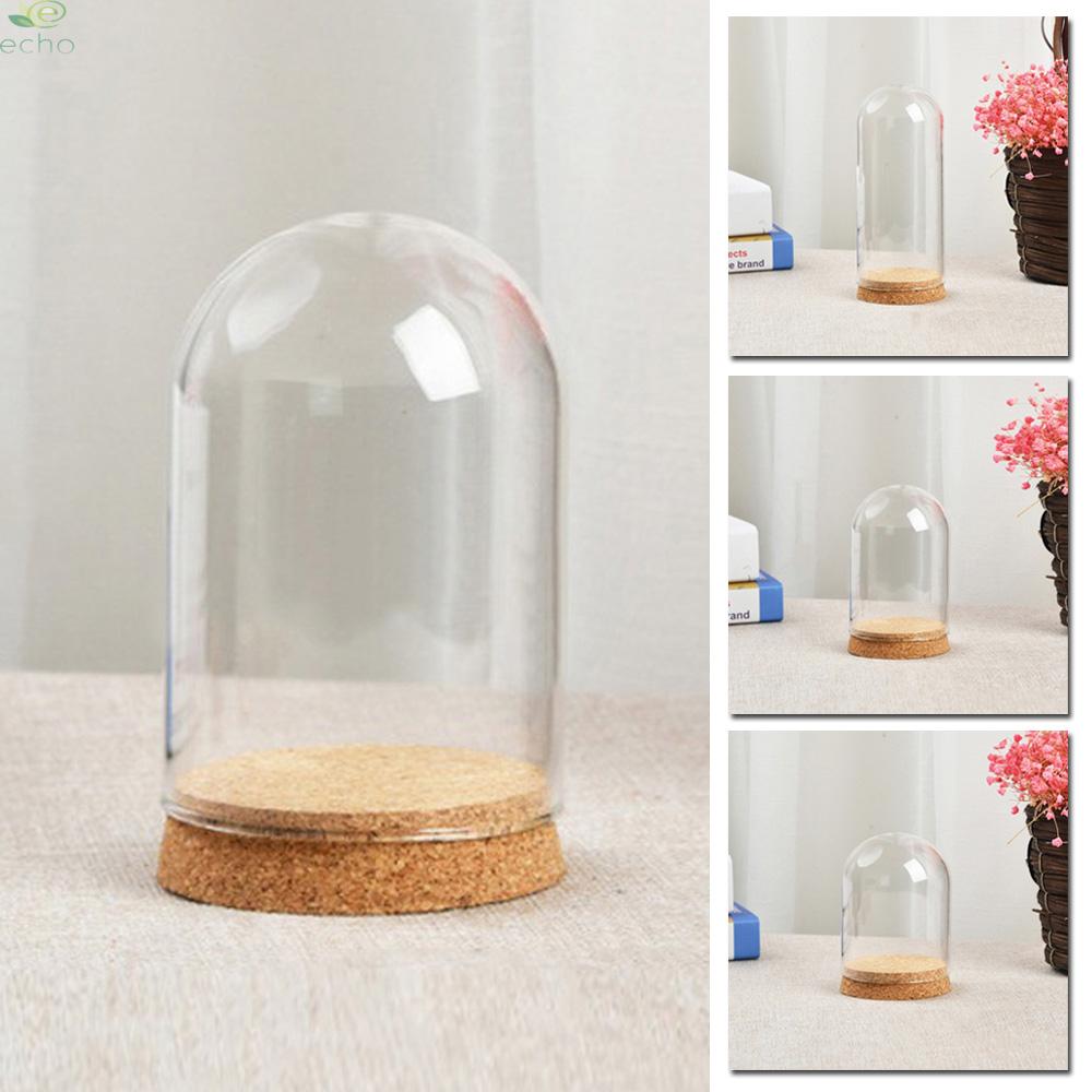Glass Display Dome Cloche with Wooden Base Flower Landscape Holder Glass Cover