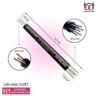 Cây hoa tuyết – hạ sốt, hạ huyết áp