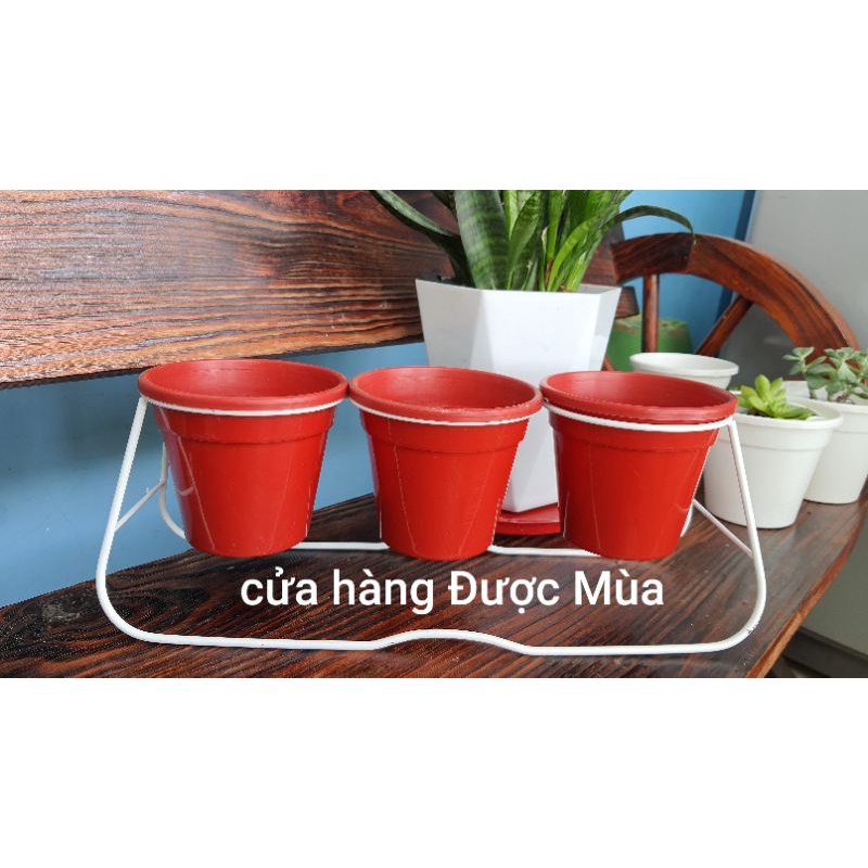 bộ khung + 3 chậu trồng cây trang trí.