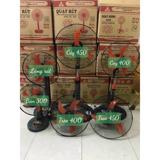 Quạt cây- quạt treo tường- quạt bàn
