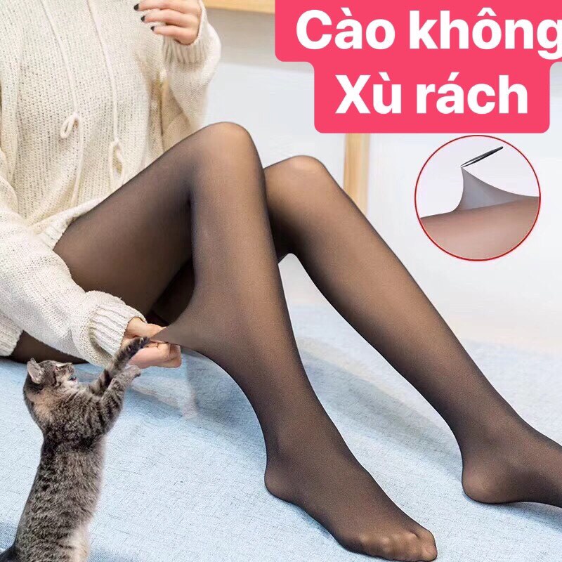 Quần tất 3d nữ 6s LUPERI QT3D417 siêu dai không xước dọc, khử mùi thấm hút nhanh