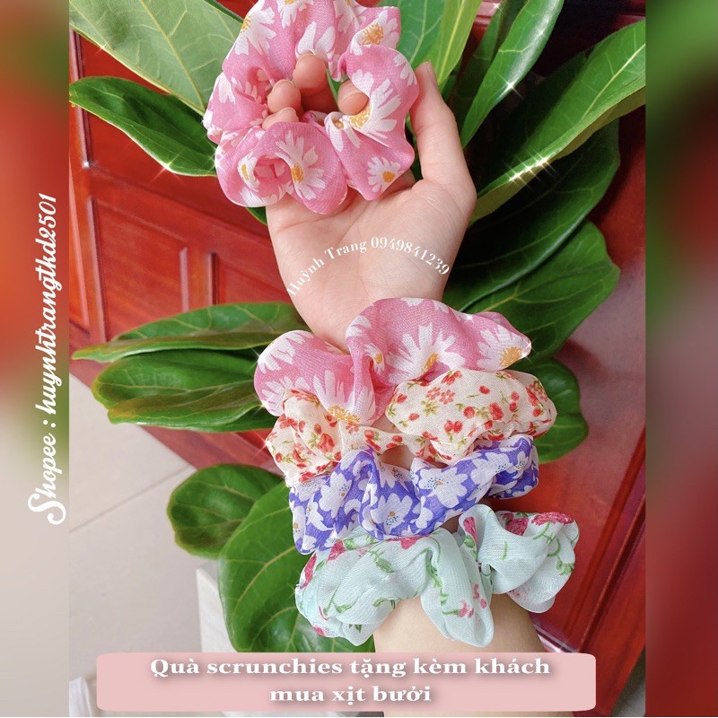 [TẶNG 2 QUÀ XINH🌸] Tinh dầu bưởi Vijully, Xịt bưởi Vijully Giảm rụng , kích mọc tóc | BigBuy360 - bigbuy360.vn