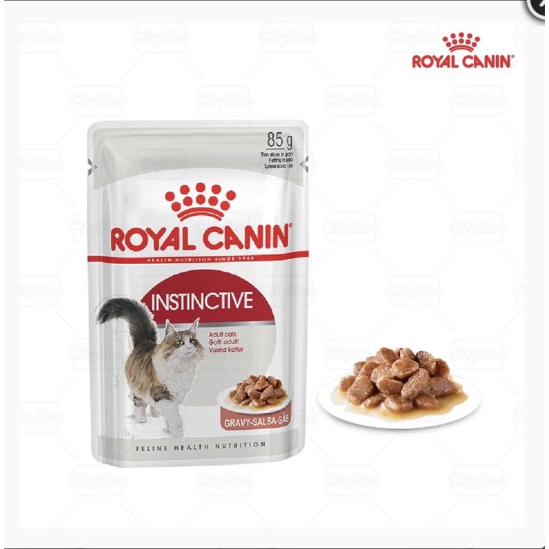 Pate Royal Canin INSTINCTIVE cho mèo LỚN