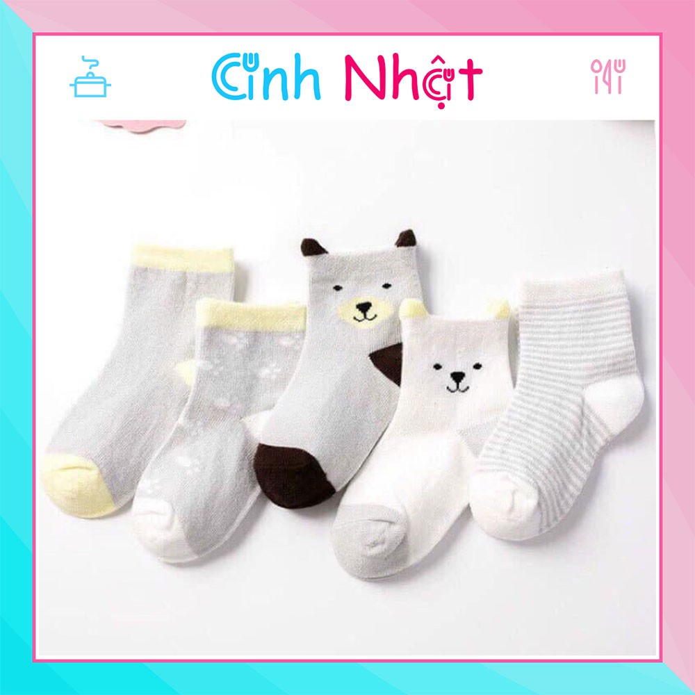 HOT TREND SET 5 ĐÔI TẤT/ VỚ BABY CỔ CAO DÀY ĐẸP CHO BÉ