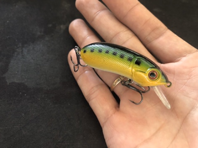 Mồi giả CC60 - mồi lure cá lóc rất nhạy