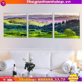 Bộ 3 Tranh Q16-29