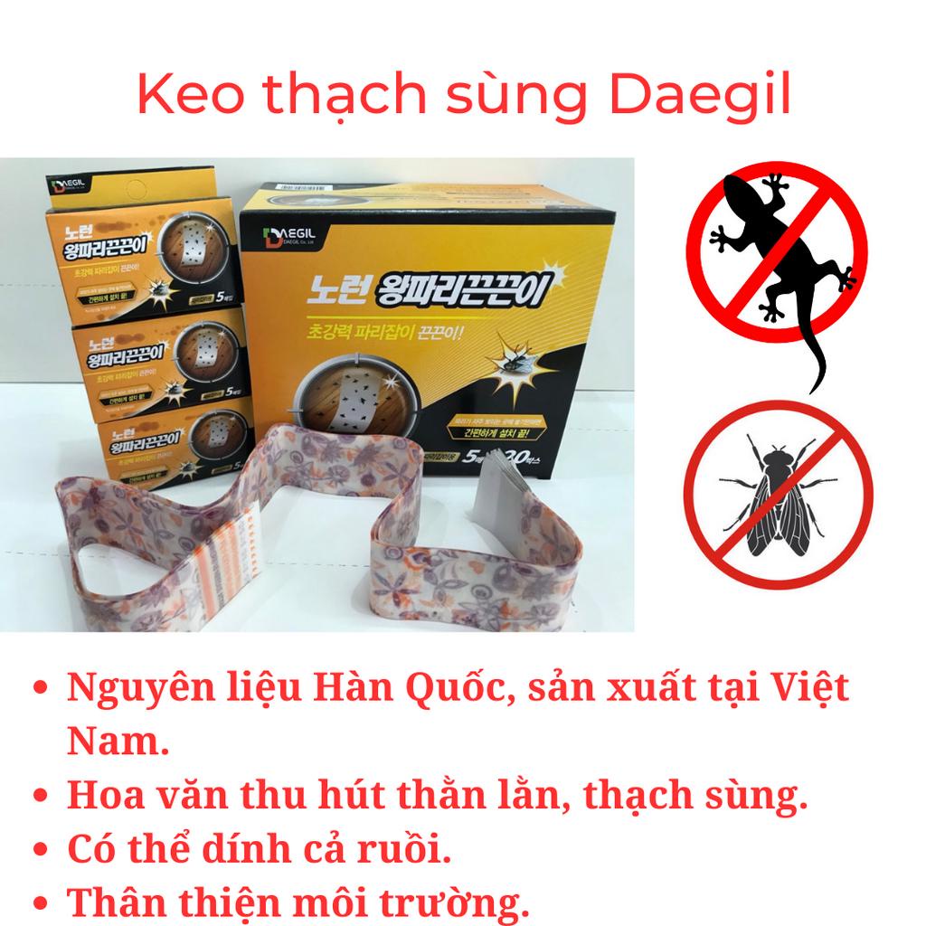 Keo dính/bẫy thằn lằn, thạch sùng, ruồi DAEGIL, hoa văn thu hút thằn lằn, thạch sùng, xuất xứ Hàn Quốc (1 hộp 5 miếng)
