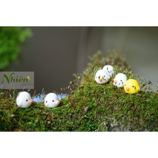 [Hình thật] GÀ MỎ NHỌN - Phụ kiện Terrarium ĐL