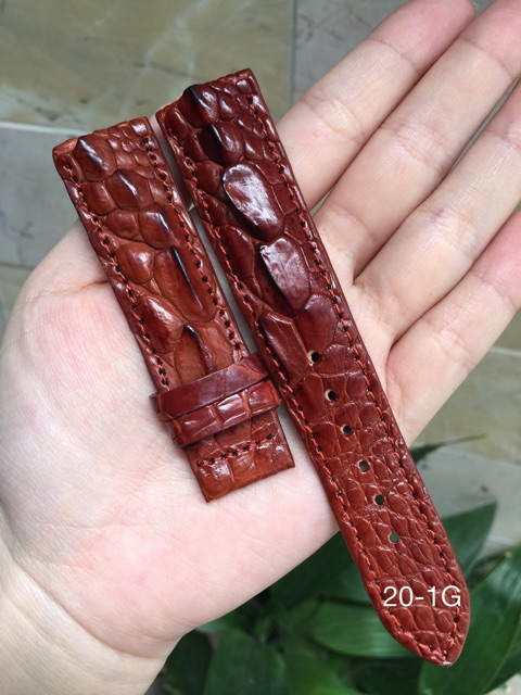 Dây Đồng Hồ Da Gai cá sấu