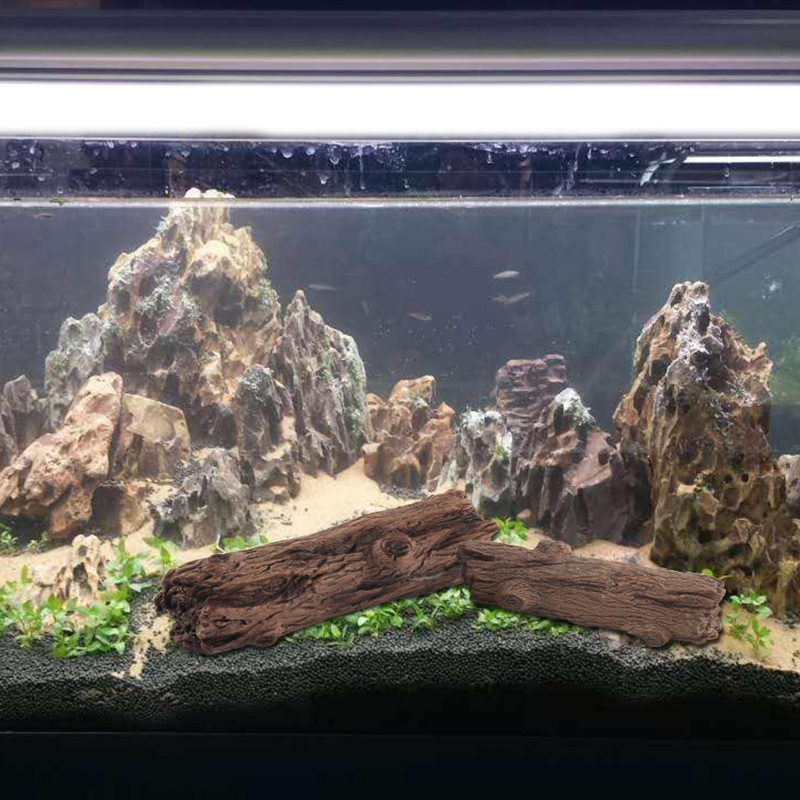 Phụ Kiện Trang Trí Bể Cá Nhỏ May Mắn Cho Betta