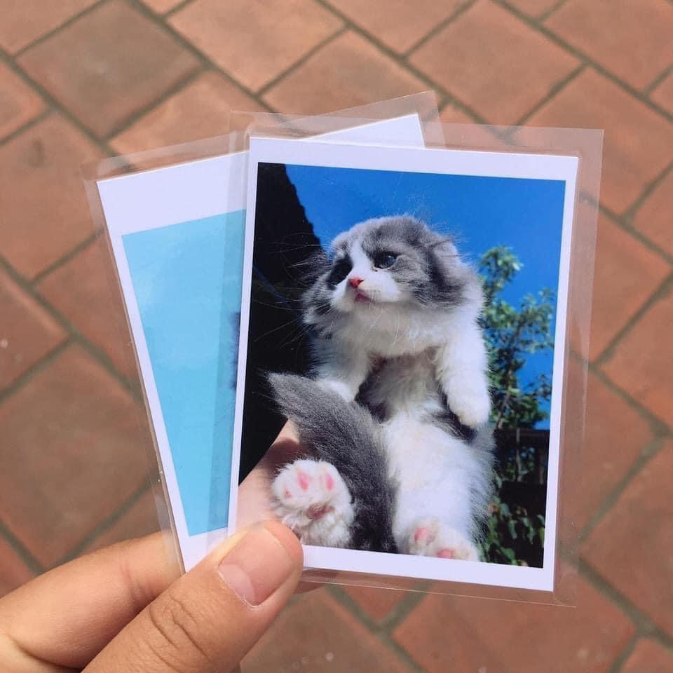 Combo 20 ảnh 6x9cm tràn viền ép plastic in theo yêu cầu