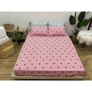 Ga trải giường cotton poly cao cấp