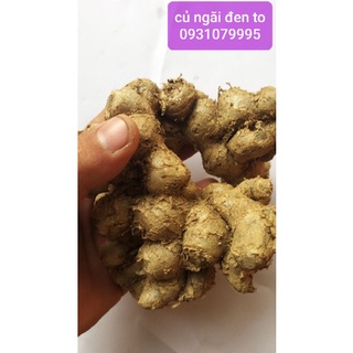Củ ngãi đen to tươi 1kg