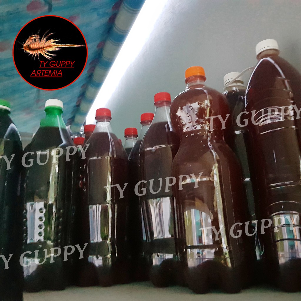 Vi sinh psb,vi khuẩn quang hợp psb 500ML