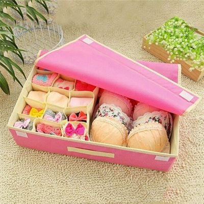 Hộp Đựng Đồ Lót 16 Ngăn MINISHOP HA08