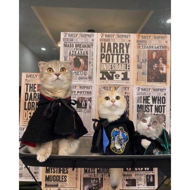 Combo 10 tờ Nhật Báo Tiên Tri trong Harry Potter