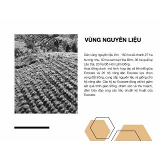 Nước rửa chén bồ hòn tinh dầu sả chanh 2 Lít