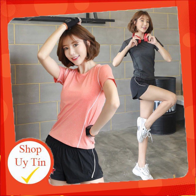 Bộ đồ tập gym nữ Linda017, quần áo thể thao, yoga nữ, set áo thun quần đùi