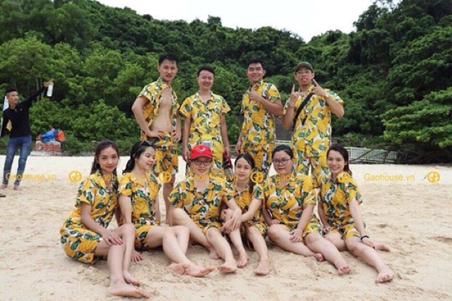 BỘ HOA QUẢ ĐI BIỂN | BigBuy360 - bigbuy360.vn