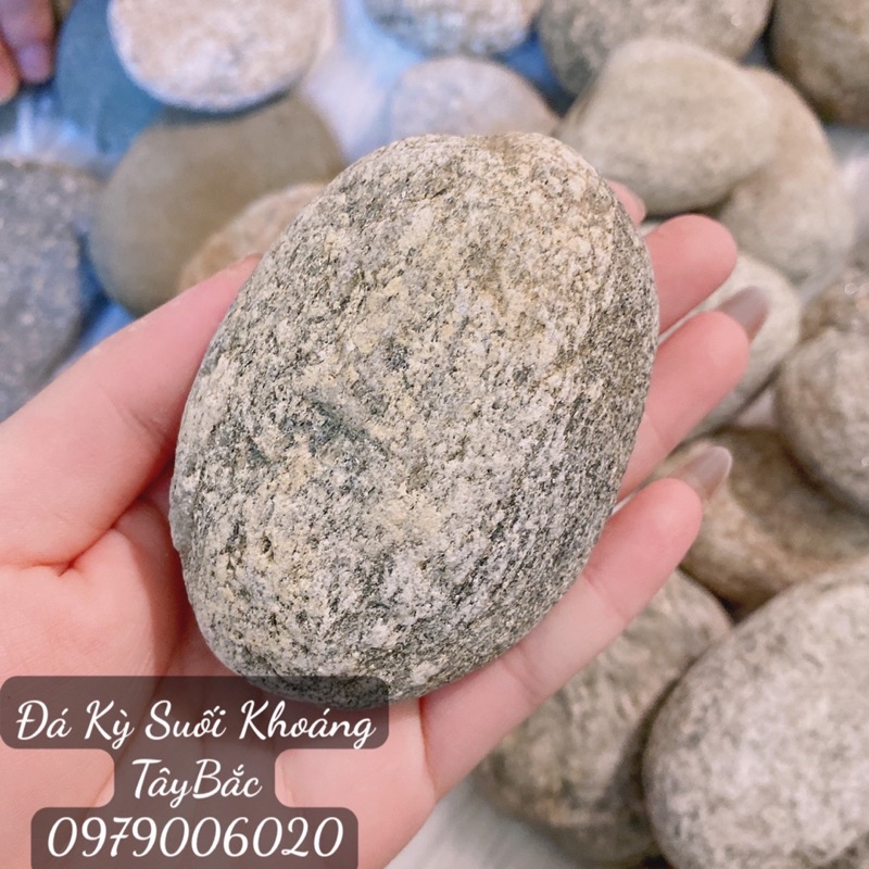 Đá nhám tắm kỳ ghét, tẩy da chết (100% tự nhiên) | BigBuy360 - bigbuy360.vn