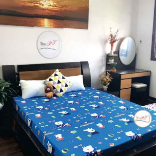 Sét 2 Ga chống thấm conton cao cấp