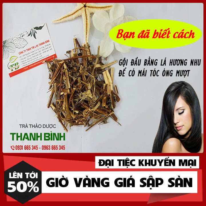 Cây Hương Nhu Khô 100g - Thu Hái Tự Nhiên 100%