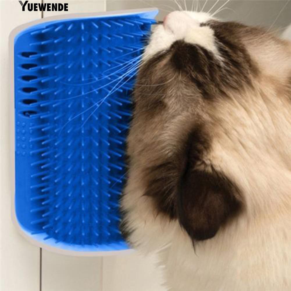 Lược gắn tường mát xa cho mèo