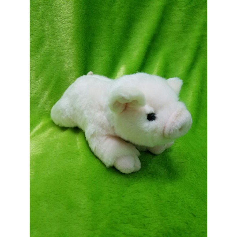 Gấu bông con heo chính hãng Miyoni Aurora  như thật