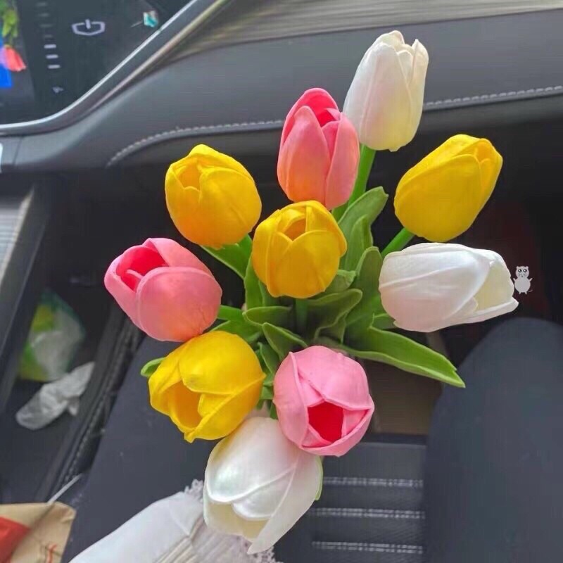 Hoa Tulip Loại Bông Lớn Nhiều Màu Siêu Xinh.